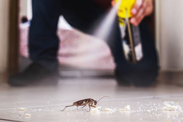 Best Best Pest Control Companies  in Spotswood, NJ